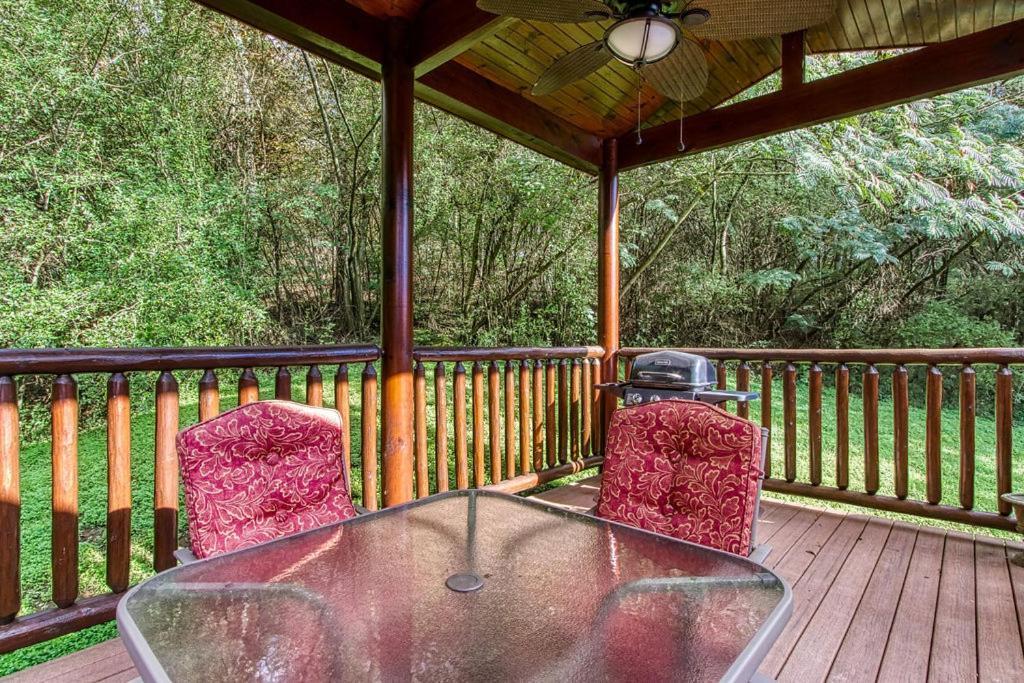 Papa Bear, Hot Tub, Wifi, 1089 Free Tickets Each Paid Day, Dollywood And More Sevierville Exterior foto